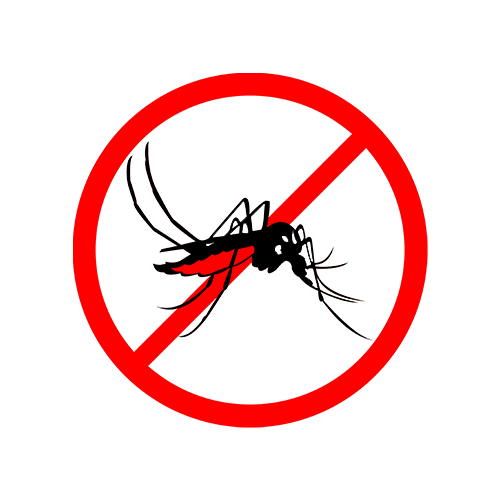 Description of Image